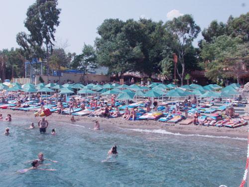 ����� Rose Resort, ����