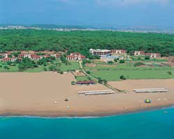����� Club Pacific, ����
