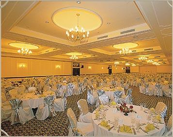 ����� Venezia Palace, ����