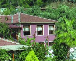 ����� Club Paradise, ����