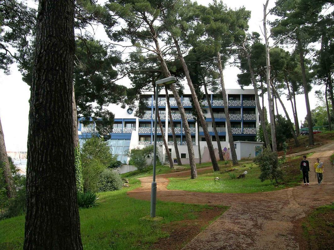 ����� Park, ����