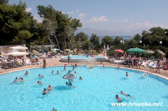 ����� Adria, ����