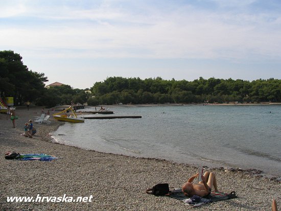 ����� Adria, ����