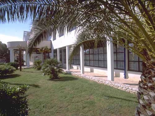 ����� Palma, ����