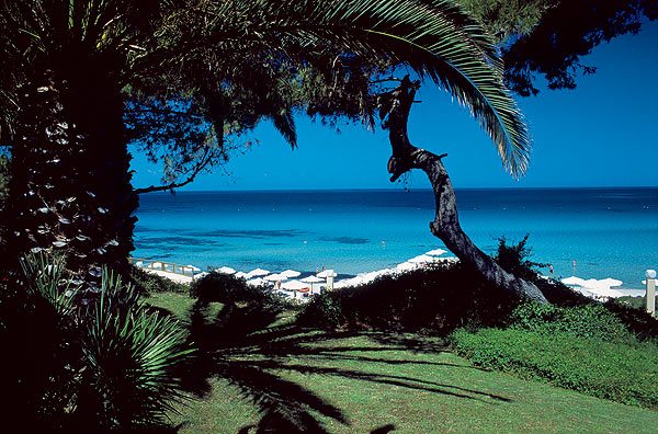 ����� Sani Beach Club deluxe, ����