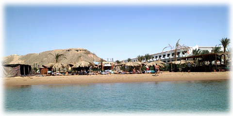 ����� Aida Sharm, ����