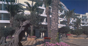 ����� Club Casino, ����