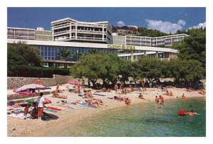 ����� Amfora, ����