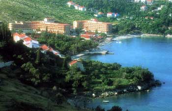 ����� Albatros, ����