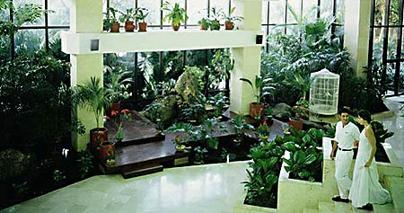 ����� Sol Club Palmeras, ����