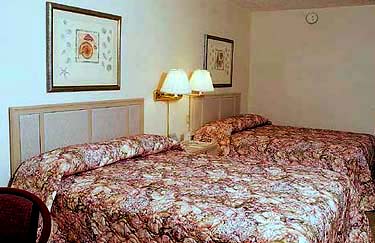 ����� Melia Santo Domingo, ����