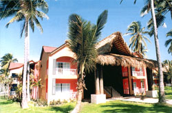 ����� Hodelpa Tropical, ����