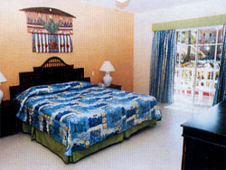 ����� Hodelpa Tropical, ����