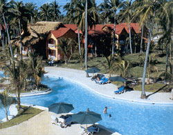 ����� Hodelpa Tropical, ����