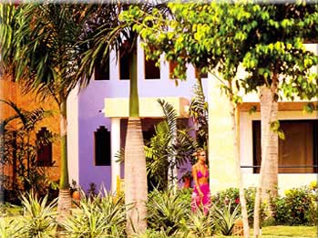 ����� Iberostar Costa Dorada, ����