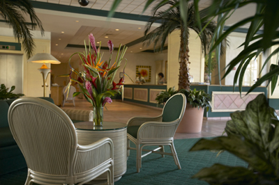 ����� Aruba Grand Beach Resort&Casino, ����