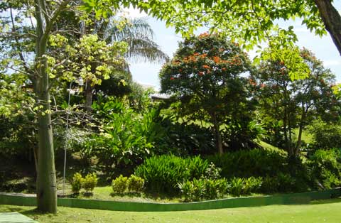 ����� El Parador, ����