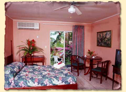 ����� El Parador, ����