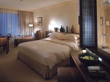 ����� Hyatt Regency Istambul, ����