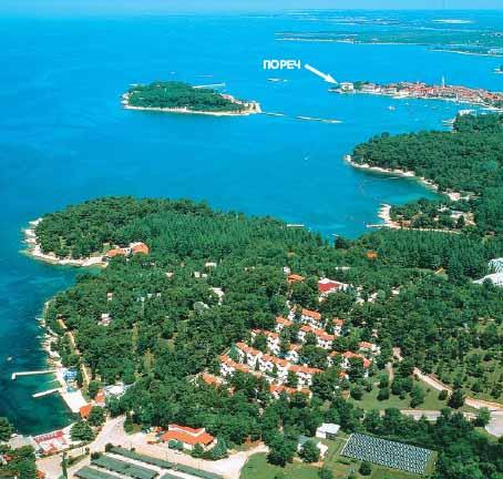 ����� Laguna Bellevue, ����