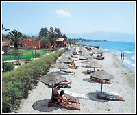 ����� Pine Beach, ����