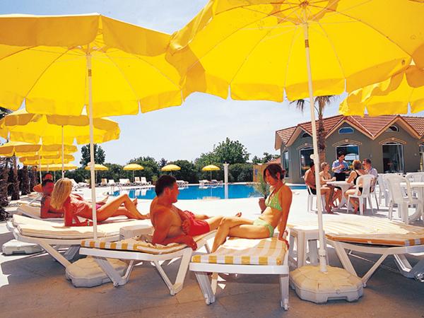 ����� The Orange & Fun World, ����