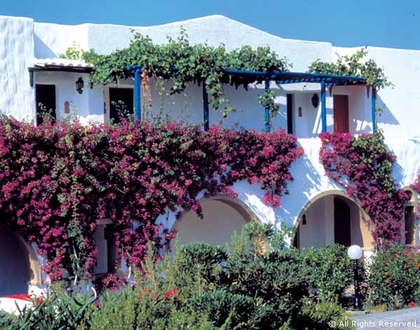 ����� Aldemar Cretan Village, ����