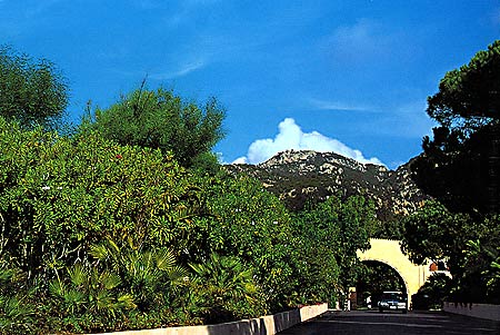 ����� La Pineta (Forte Village), ����