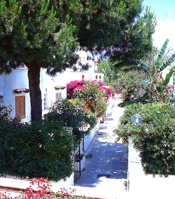 ����� Terme Royal Palm, ����