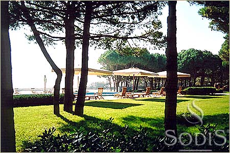 ����� Bellevue, ����