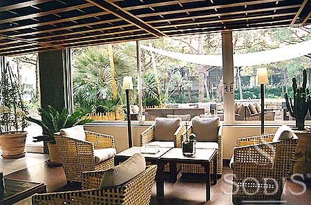 ����� Bellevue, ����