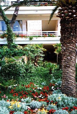 ����� Bellevue, ����