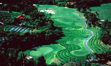 ����� Le Meridien Nirwana Golf & Spa Resort Bali, ����