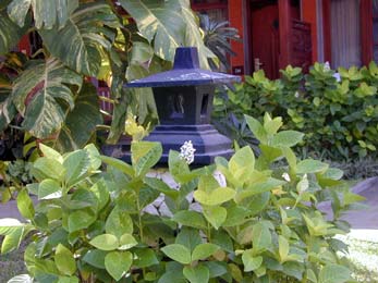 ����� Istana Rama, ����