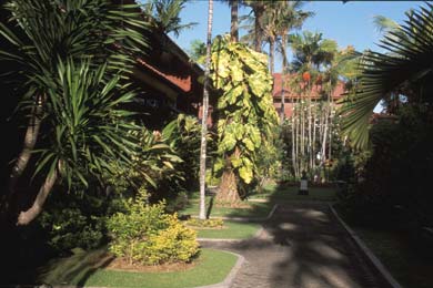 ����� Istana Rama, ����