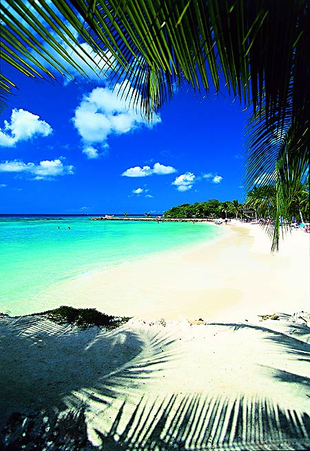 ����� Renaissance Aruba Beach Resort & Casino, ����