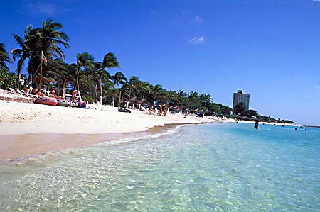 ����� The Mill Resort & Suites Aruba, ����