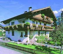 ����� Wildauer, ����