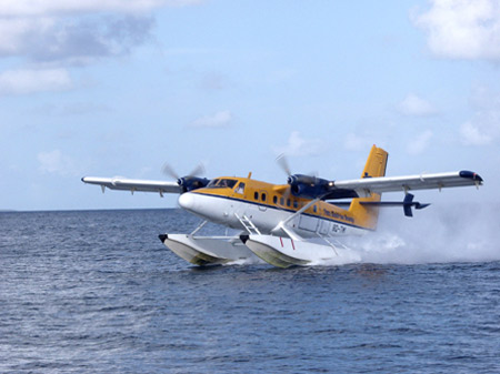 ����� Mirihi Island, ����