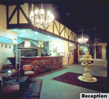 ����� Dedeman Palandoken SKI Resort, ����