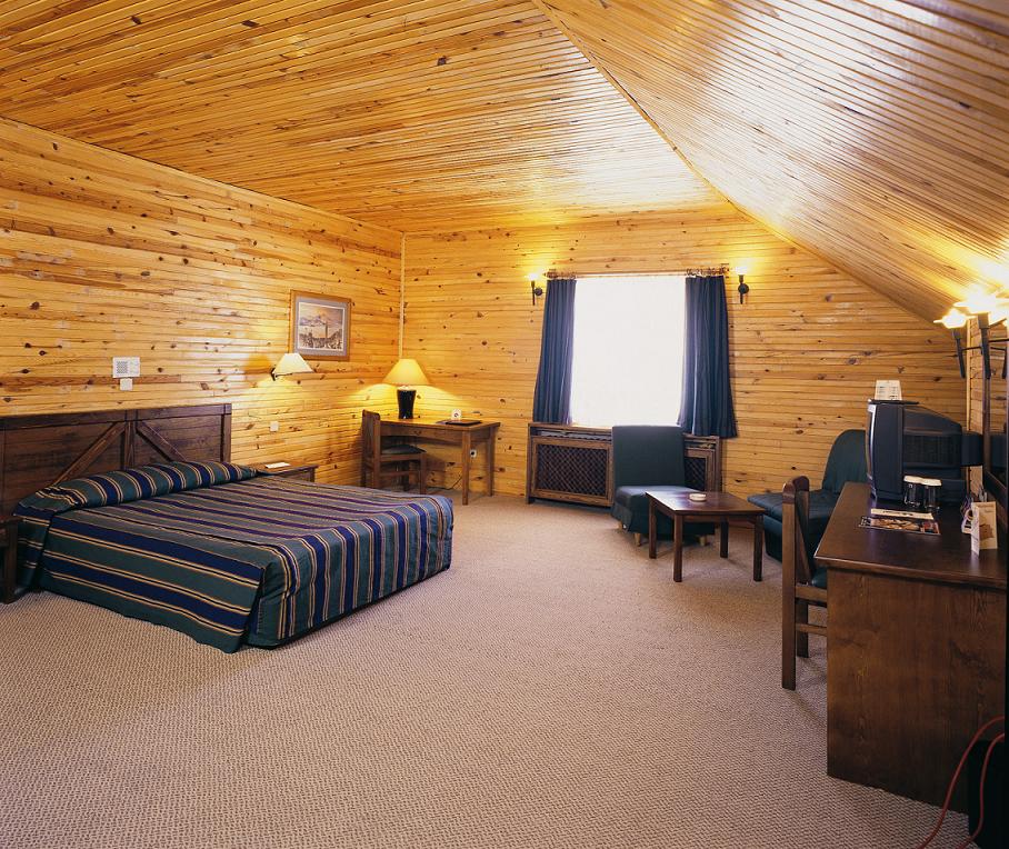 ����� Dedeman Palandoken SKI Resort, ����