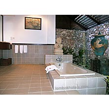 ����� Holiday Inn, ����