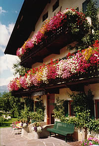 ����� Rainhof Pension, ����