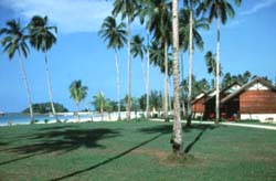 ����� Mayang Sari Beach Resort, ����