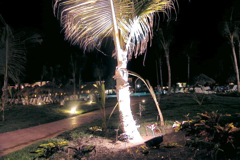 ����� Iberostar Hacienda Dominicus, ����