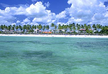 ����� Occidental Grand Flamenco Punta Cana, ����