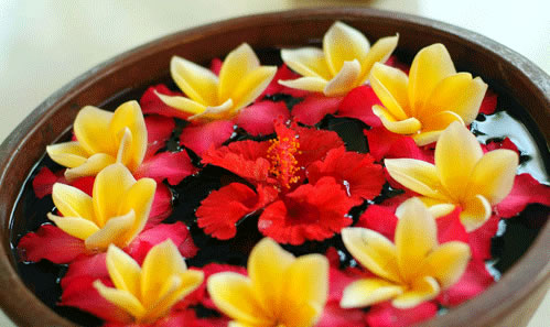 ����� Kind Villa Bintang Resort, ����