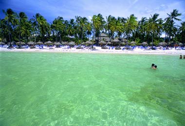 ����� Occidental Allegro Punta Cana, ����