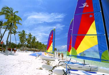 ����� Occidental Allegro Punta Cana, ����