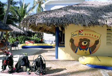 ����� Occidental Allegro Punta Cana, ����